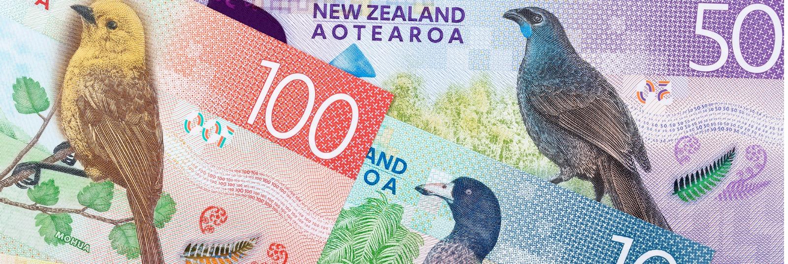 The cost of studying in New Zealand