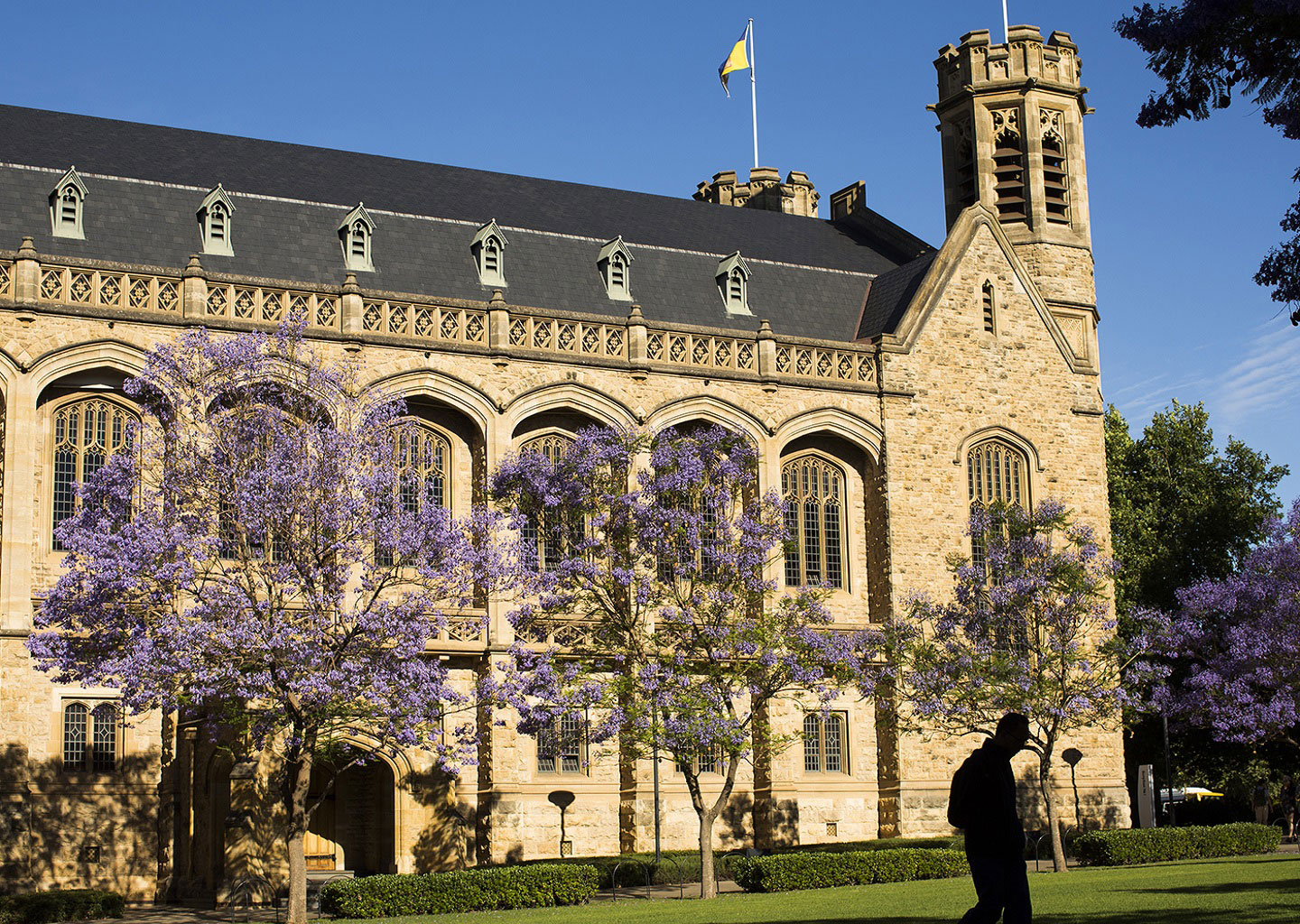 The University of Adelaide (UoA) Fees, Reviews, Rankings, Courses