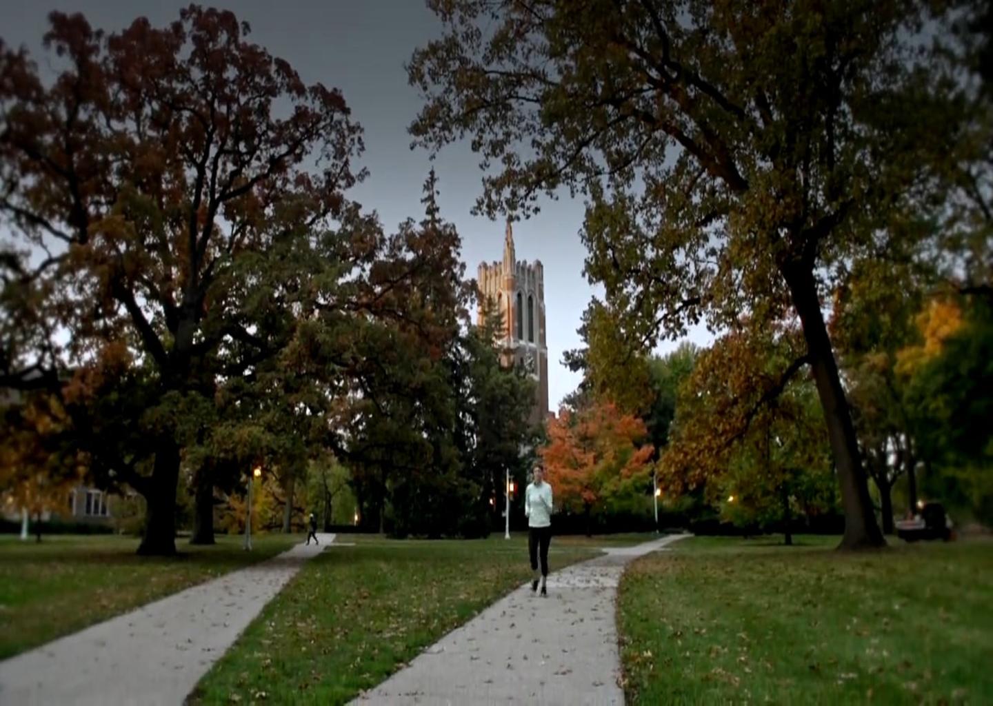 Michigan State University อเมริกา