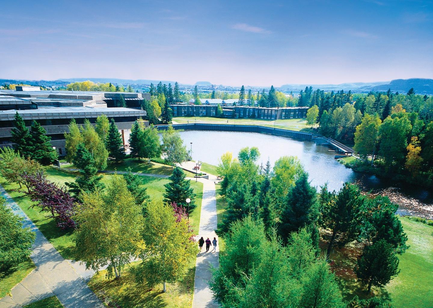 Lakehead University в Канаде